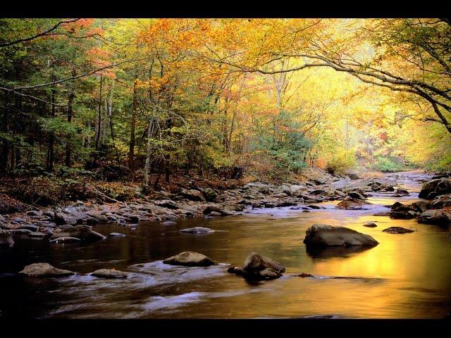 Top 10 Most Beautiful National Parks in the World