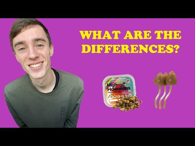 The ACTUAL Differences Between Magic Mushrooms And Magic Truffles