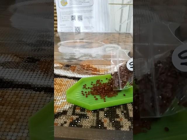 Новый процесс  #алмазнаямозаика #diamondpainting #алмазныйряд #кофе #coffee #shortvideo #shorts