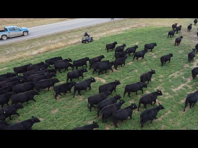 P320 ALL, on a large, high-tech ranch in the Northern United States.