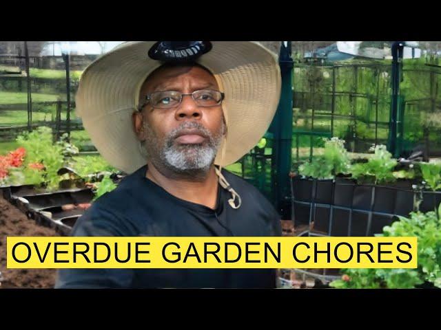 GreenStalk Watering, Hilling up Collards, and Harvesting Peppers