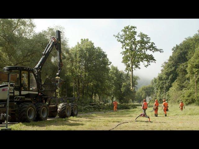 Helikoptereinsatz in der Weltenburger Enge I Bayerische Staatsforsten