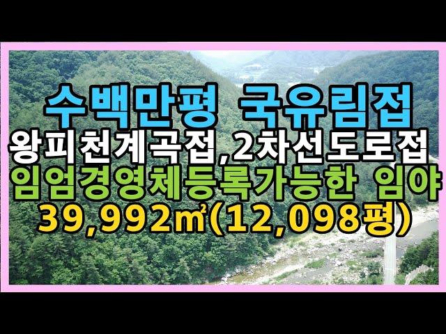 2천만원 가격인하(7천만원)왕피천계곡 수백만평 국유림접한 임야,#울진부동산#싼땅#경북땅#시골땅#촌땅#임업후계인