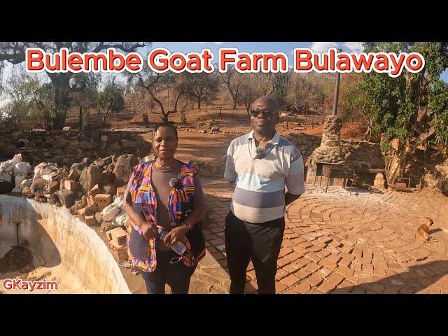 Goat Farming at Bulembe Estates Fort Rixon Siyaphikelela #goat #bulawayo #farming #sheep #water