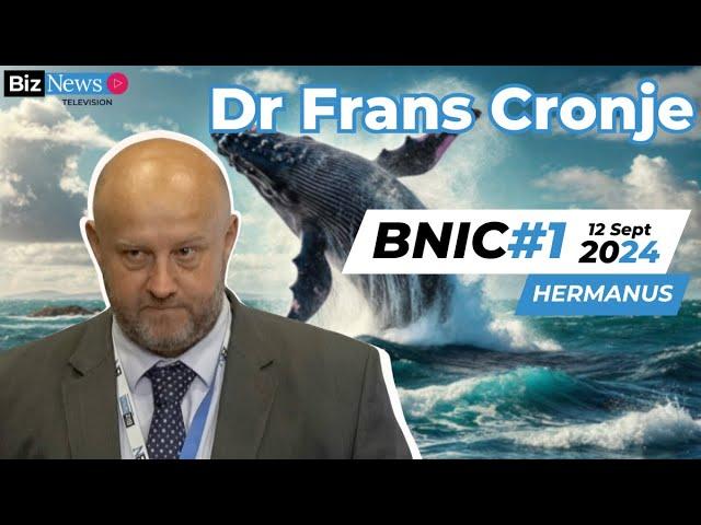 BNIC#1 Frans Cronje: South Africa's path forward - GNU's strengths, risks, and future