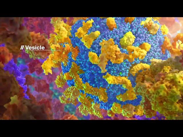 Protein Packing Inside the Cell (BioVisions) (Official Version)