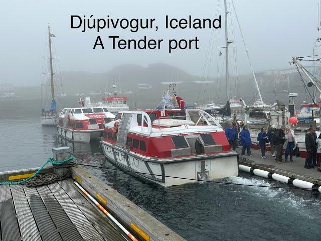 Norwegian Star :  Djupivogur, Iceland 24 June 2023 and Info about tender ports