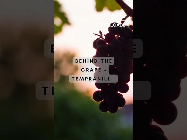 Behind the Grape - Tempranillo