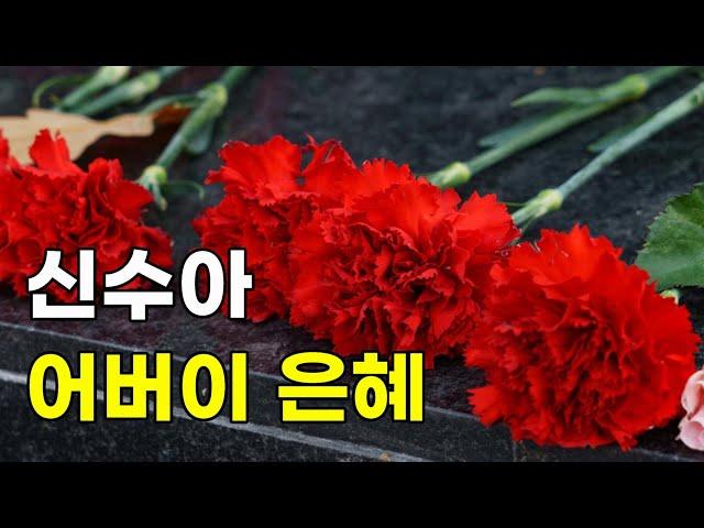 어버이 은혜 - 신수아