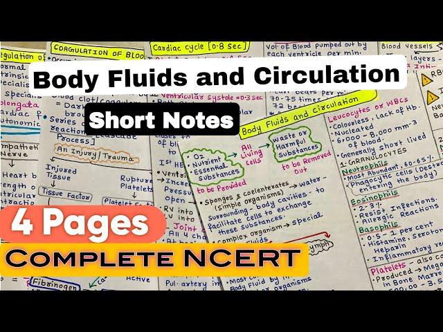 Body Fluids and Circulation | Short Handwritten Notes | NEET 2025