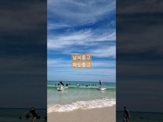 애월서핑강습