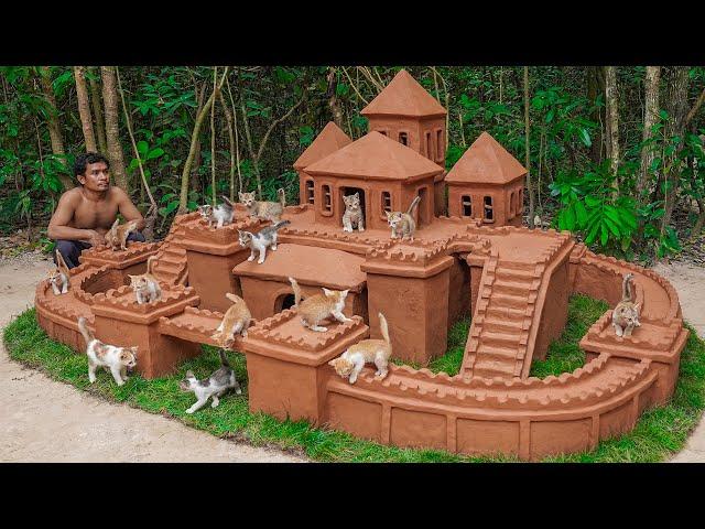 Rescue Kitten Cat Build Great Castle Cat House From Mud