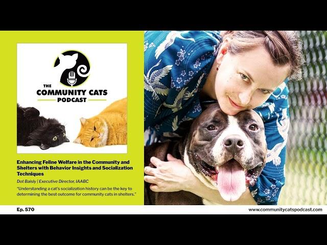 Enhancing Feline Welfare in the Community and Shelters through Behavior Insights and...