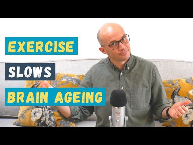 How Exercise Slows Brain Ageing