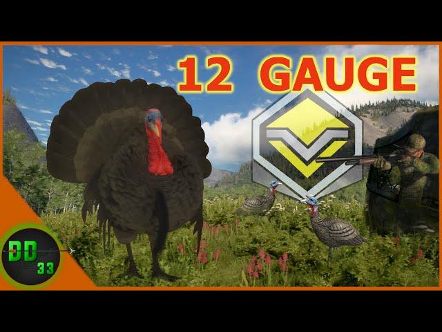 REALISTIC Turkey Hunt with the 12 GAUGE!! *Super Rare* Call Of The Wild