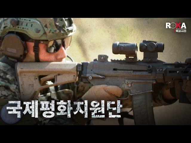 [ROKA대백과사전 시즌4] 국제평화지원단(feat.동명) in Lebanon ㅣ2025 로카 대백과사전 #UN #UNIFIL #army