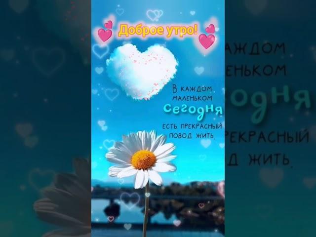 Доброе утро,хорошего дня открытки на каждый день #открытка #доброеутро #видеооткрытка #доброеутречко
