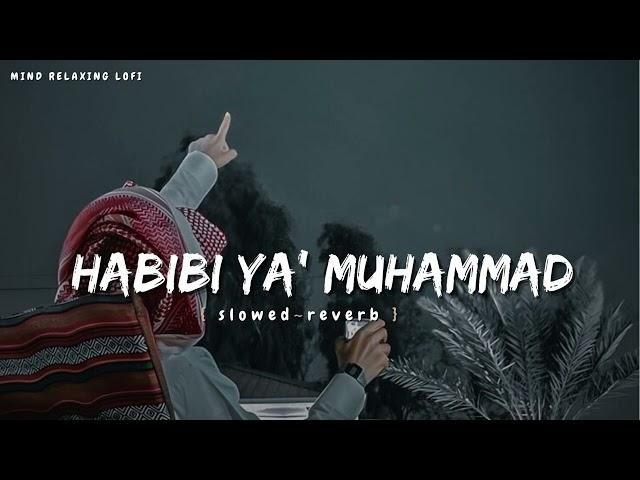 Habibi Ya Muhammad (slowed reverb) Beautiful Nasheed Naat  l Lofi Version l Mind Relaxing Naat