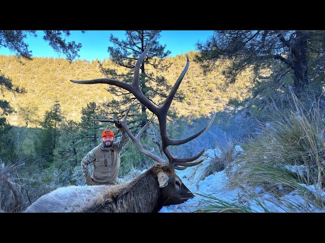 DRIVEN (A Late Season Elk Hunt)