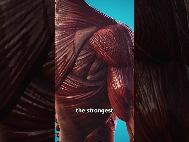 The Strongest Muscle In Your Body  (not what you think)