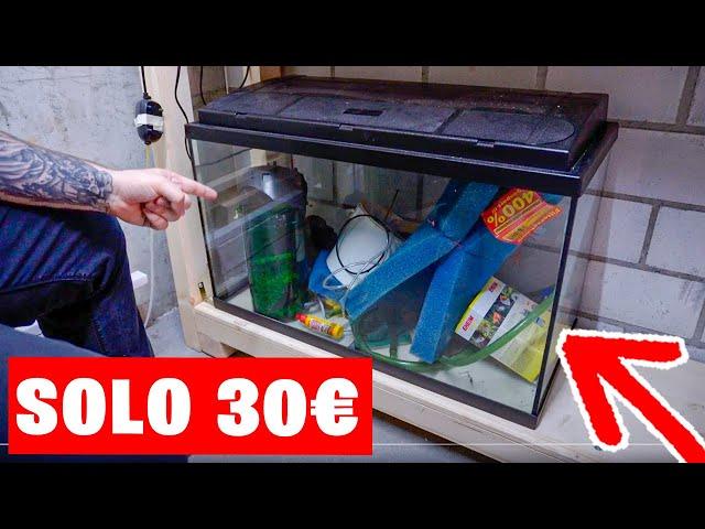 I BOUGHT A 120L AQUARIUM FOR ONLY $30... INCREDIBLE!