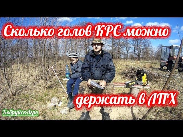 Сколько голов КРС можно держать в лпх