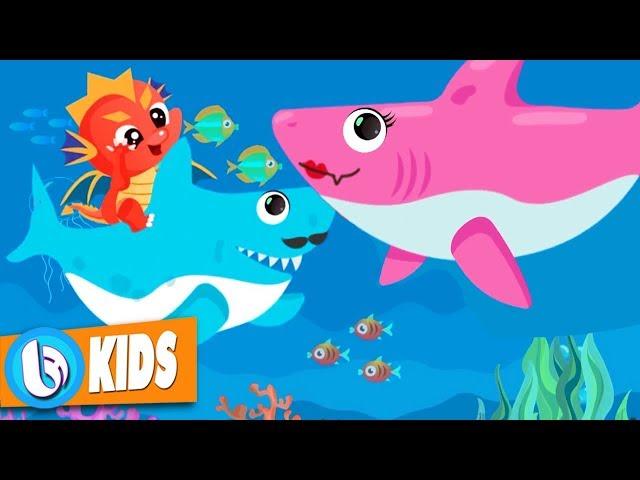 20 Bài Hát Tiếng Anh Trẻ Em Yêu Thích Nhất - Baby Shark Nursery Rhyme