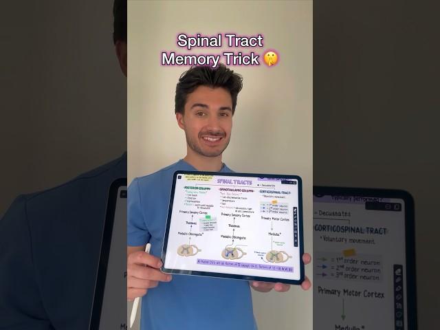 Spinal tract memory hack from my Neurology guide! #medschool #medstudent #usmle #usmlestep1 #step1