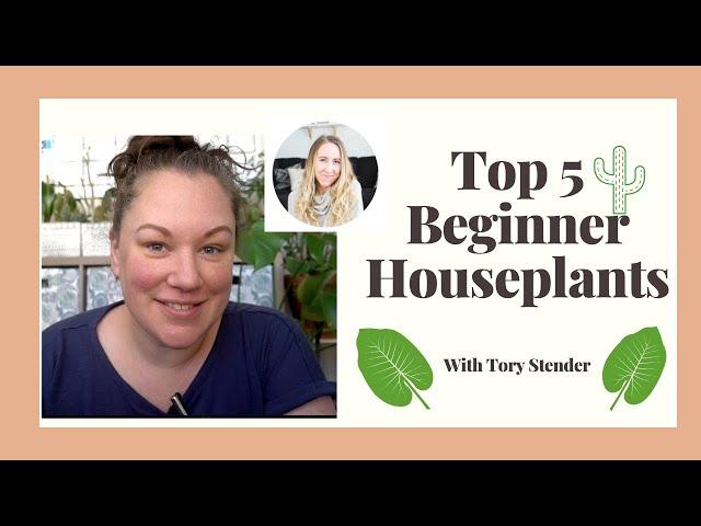 5 Easy Houseplants for Beginners | Collab with Tory Stender