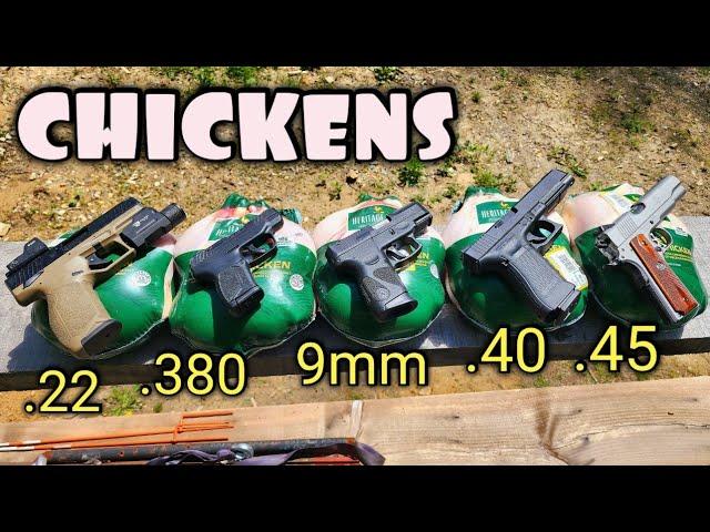 Pistols vs Chickens .22LR .380 9mm .40S&W .45ACP