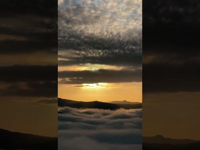 Sunrise Above the Clouds #shorts #sunrise #beautiful #tranquility #lostranquility