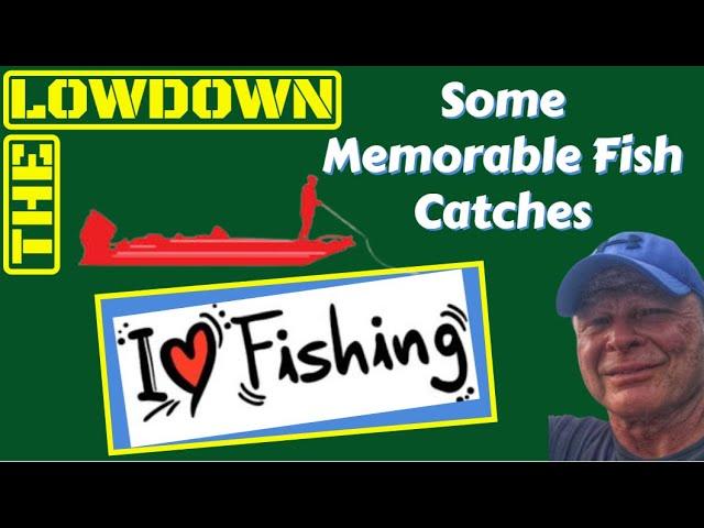 Some Memorable Fish Catches ... part 1