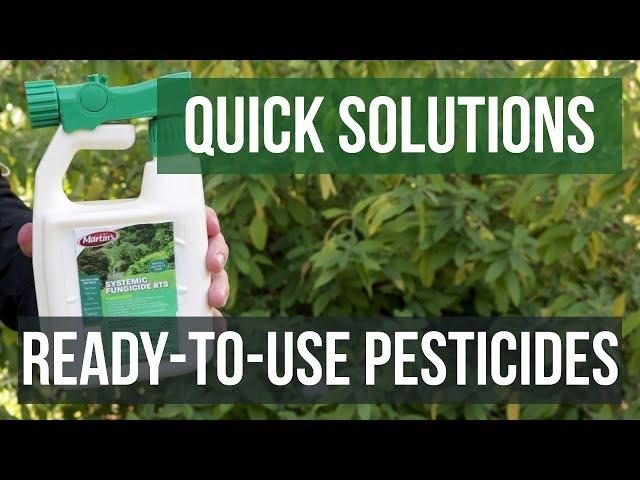 Quick Solutions: How to Use Ready-to-use Pesticides