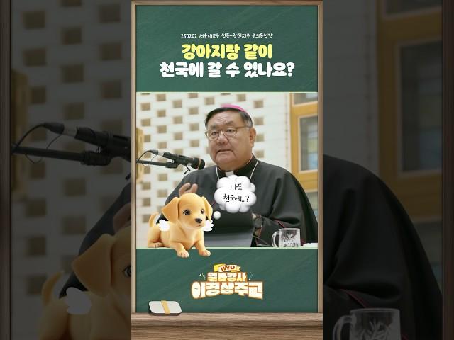  강아지랑 천국에 갈 수 있을까요?  [WYD 일타강사 이경상주교]