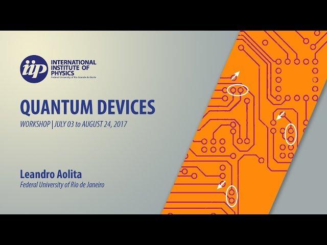 Fidelity witnesses for certification​ of many-body quantum simulators - Leandro Aolita