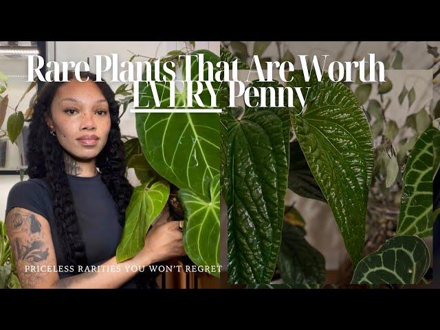 10 Rare Plants Worth Every Penny  | Anthurium, Monstera, Philodendron | Indoor Houseplant Tour 2024