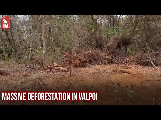 MASSIVE DEFORESTATION IN VALPOI