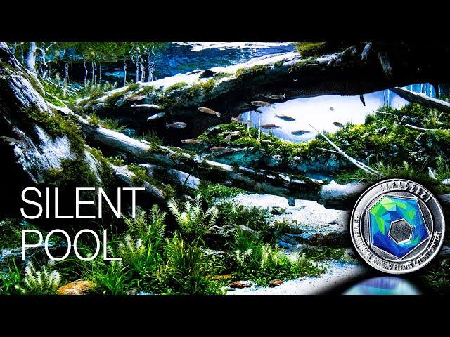 Recreating Alpine Pond in my Aquarium, International Aquascaping Contest World Rank 37 w/ Danio Fish