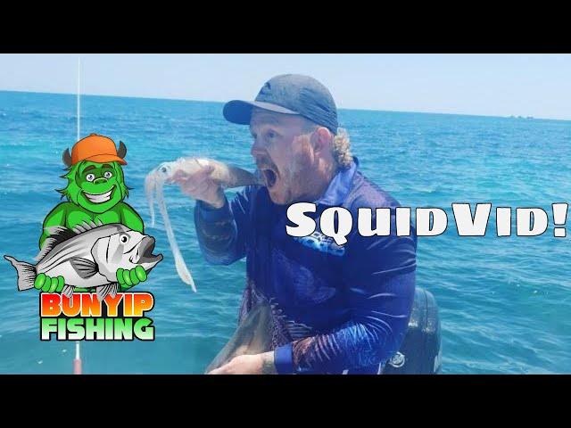 squidvid squiding from Safety bay/ port Kennedy