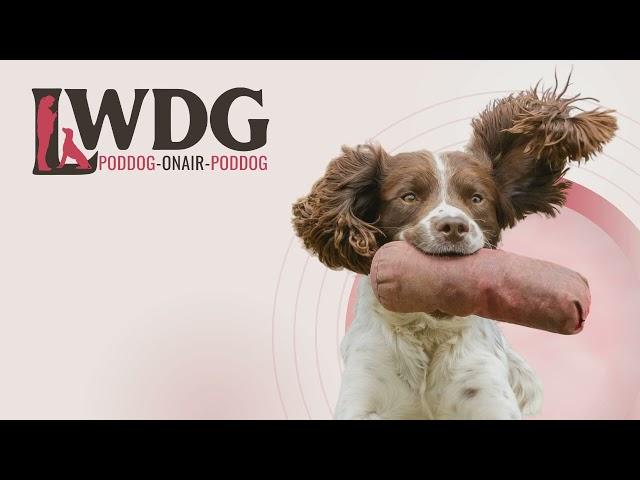 LWDG POD DOG - How to Train a Reluctant Gundog: Retrieve Training Tips