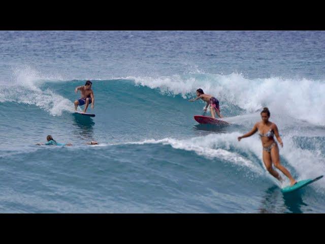 Makaha Beach On A 1996 Round Nose Fish