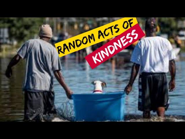 Real Life Heroes  2021 | Random Acts of Kindness | Faith In Humanity Restored | Good People #11