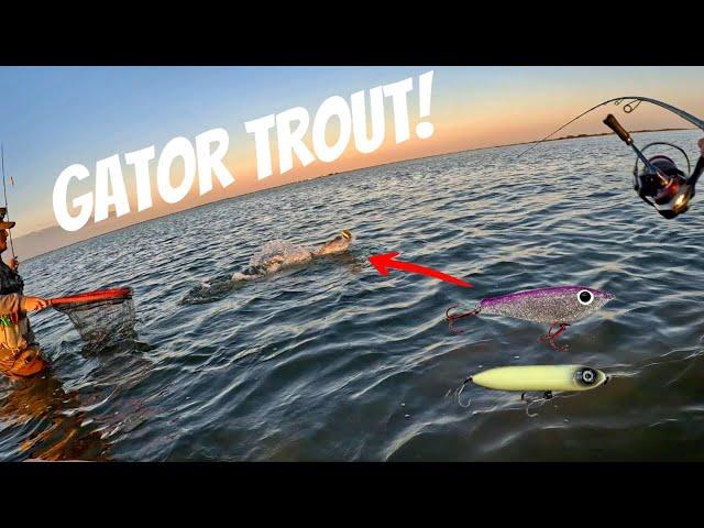 Wade Fishing for GIANT Speckled Trout! Topwater & Corky!