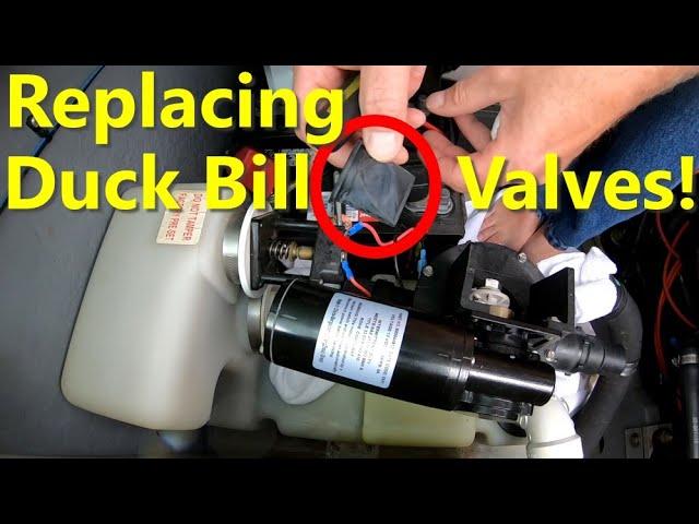 Replacing Duckbill Valves + Vacuflush System Overview, Sea Ray Boat