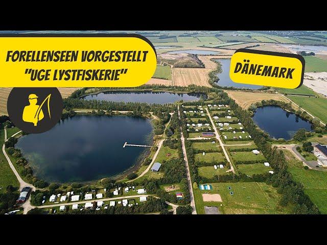 Forellenseen vorgestellt: Uge Lystfiskerie, Dänemark