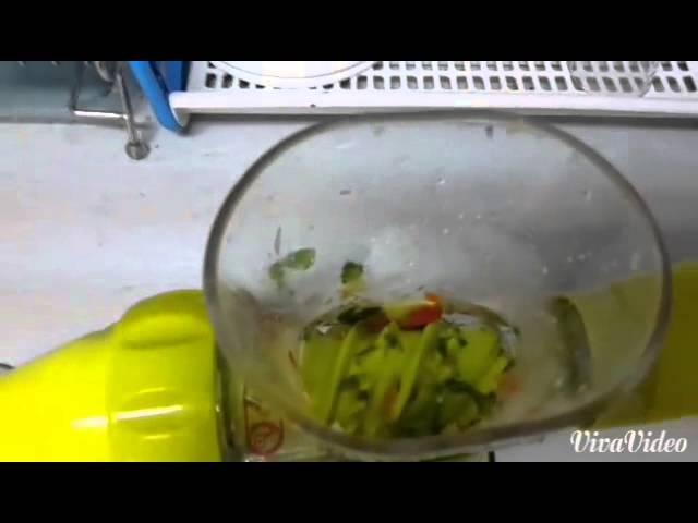 Manual Juicer