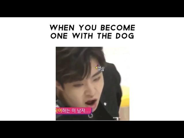 Got7 Video Meme part 16