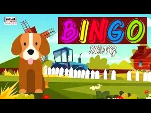 Bingo Dog Song - Nursery Rhymes And Songs For Kids#catrackktv