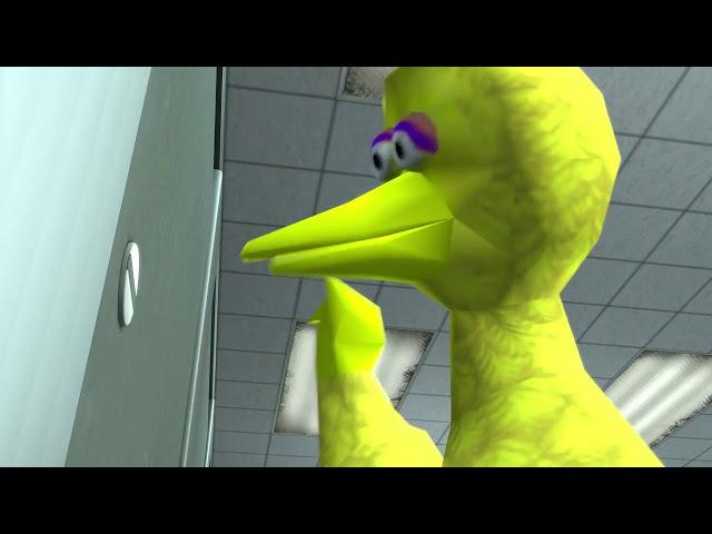 BIG BIRD STORMS BARNEY