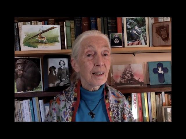 2020 Austrian World Summit: Dr. Jane Goodall